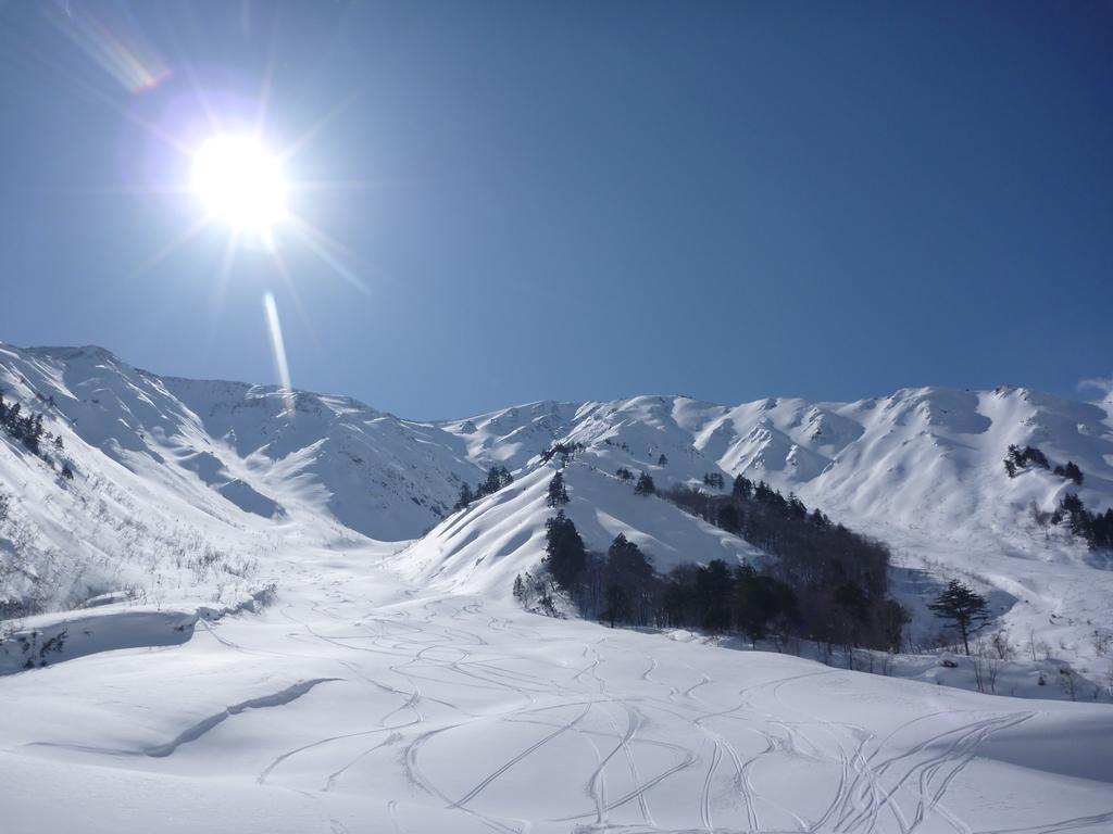Zen Chalets Hakuba Exterior foto